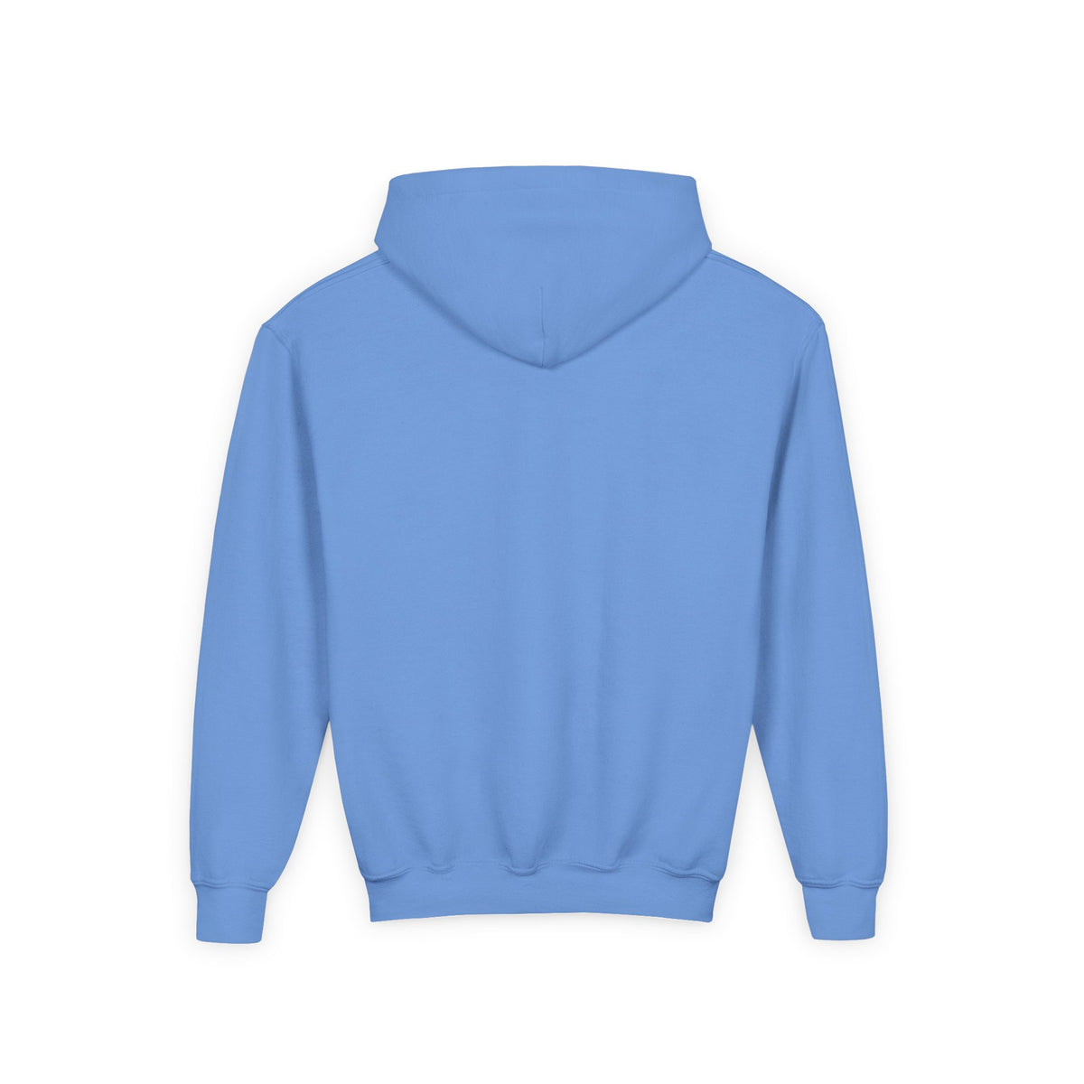Fearfully & Wonderfully Made Youth Hoodie, youth hoodie, Carolina Blue, back view, FEARFULLY & WONDERFULLY MADE., Psalm 139:14 (KJV)