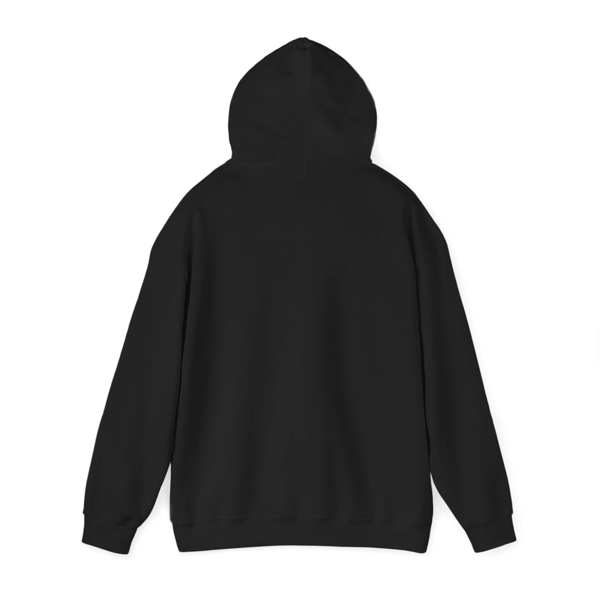 Kingdom Key Hoodie in Black, back view with hood up: plain back (front print only)