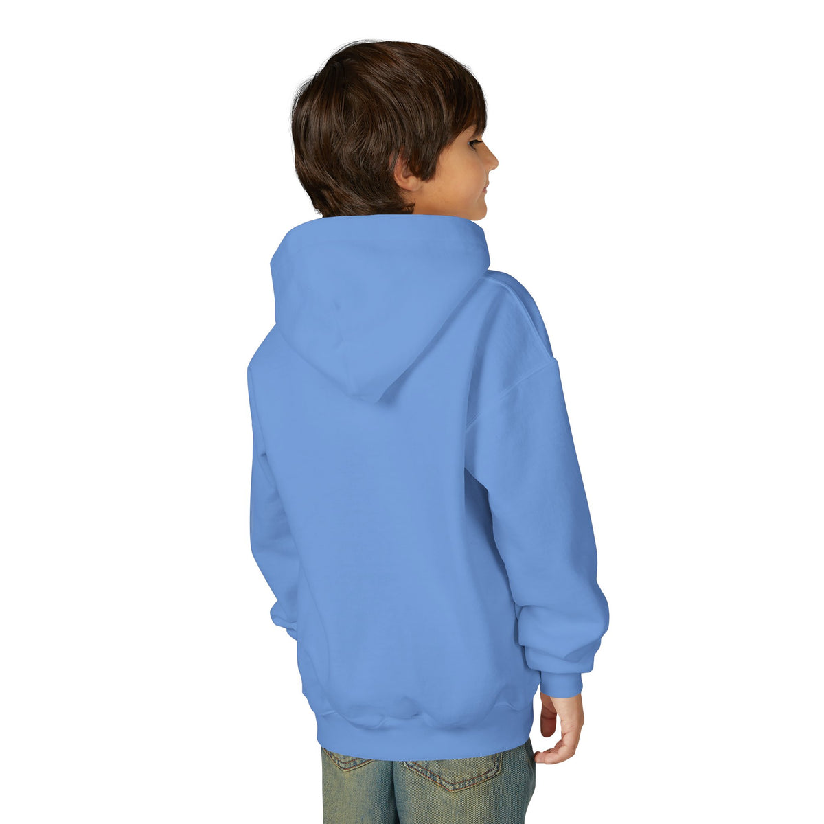 Fearfully & Wonderfully Made Youth Hoodie, youth hoodie, Carolina Blue, back view, worn by a boy, FEARFULLY & WONDERFULLY MADE., Psalm 139:14 (KJV)