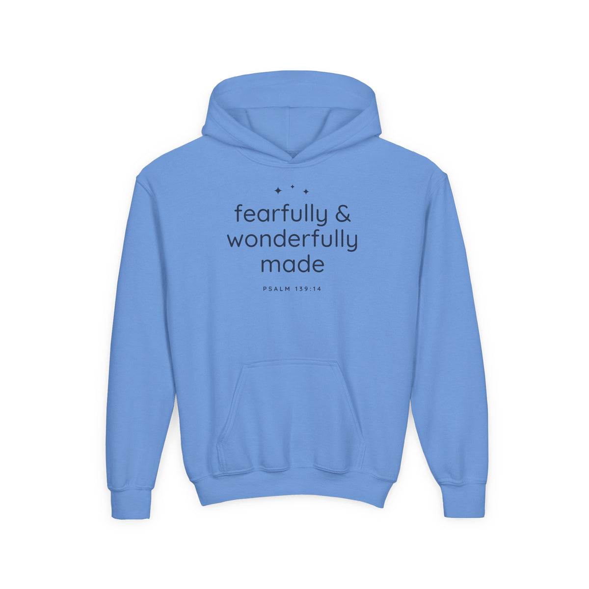 Fearfully & Wonderfully Made Youth Hoodie, youth hoodie, Carolina Blue, front view, FEARFULLY & WONDERFULLY MADE., Psalm 139:14 (KJV)